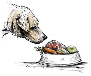 Rationsüberprüfung & -optimierung für deinen Hund. Ernährungsberatung für Hunde - Kahu Ono